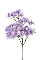 Dogwood mini l69cm lila kunstbloem Louis Maes - Louis maes