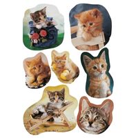 63x Katten/poezen dieren stickers    -