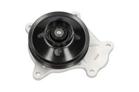 Waterpomp TW5171