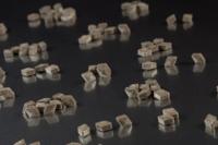 Meenk Gloria's 5 Kilogram