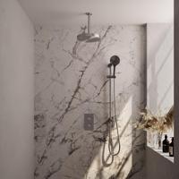 BRAUER Stripe Thermostatische Inbouw Regendouche - 3-weg - rechthoekig - SET 24 - 25cm douchekop - plafondarm - 3-standen handdouche - doucheslang - geïntegreerde glijstang - RVS-kleurig geborsteld PVD 5-NG-411