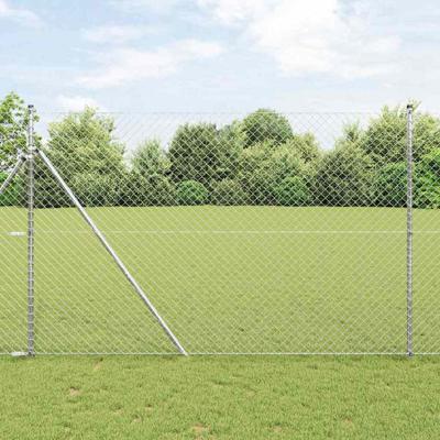Gaashekwerk Zilver 10 x 1.6 m Gegalvaniseerd staal