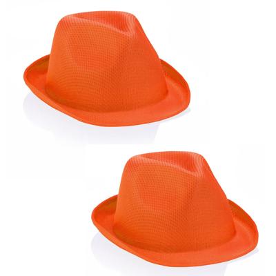 Oranje/Holland party hoedje - 2x stuks - koningsdag - nederland supporters - voor volwassenen
