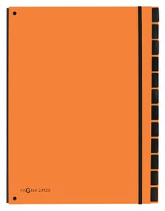 Pagna 24129-09 sorteermap Oranje Karton, Polypropyleen (PP) A4