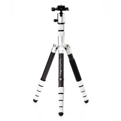 Benro Roadtrip Pro BMRTPROCSLV statief zilver