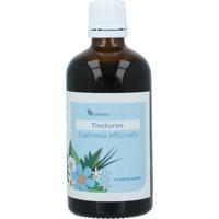 Euphrasia officinalis tincturen