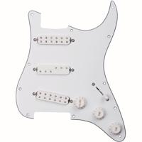 Seymour Duncan Everything Axe Loaded Pickguard met Liberator