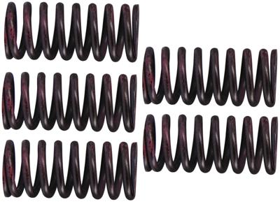 TRW Clutch spring kit mef316-5