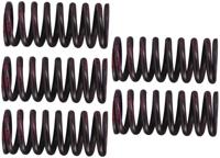 TRW Clutch spring kit mef316-5