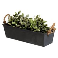 Plantenbak/bloembak Recta - balkon/terras - zink - zwart - L37 x D13 X H10 cm