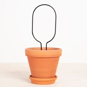 Plantensteun Hoop