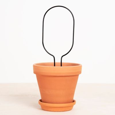 Plantensteun Hoop