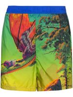 Valentino Garavani short de bain imprimé Dragon At Dawn - Vert