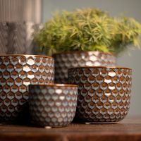 Sierpot Chelles - thumbnail