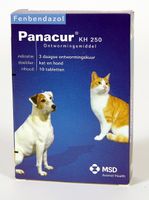 Panacur 250 Ontwormingsmiddel voor hond en kat 100 tabletten