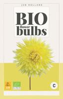 Bio Dahlia Bilbao Bloembol JUB 1 bol - Jub
