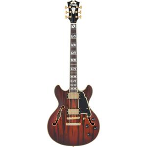 D'Angelico Deluxe Mini DC Stopbar Satin Brown Burst semi-akoestische gitaar met koffer