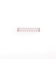 Hauptner Koolborstelveer