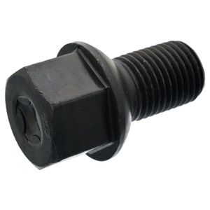 Wielschroef 46613
