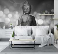 Zen ruimte fotobehang Boeddha in zilver