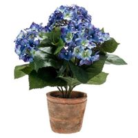 Kunstplant Hortensia blauw in oude ronde terracotta pot 37 cm    - - thumbnail