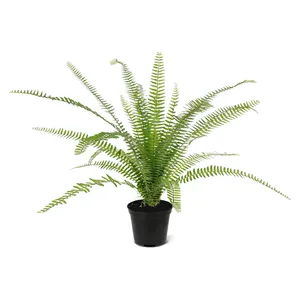 Asplenium Varen 75 cm - Kunstplant