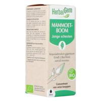 Herbalgem Mammoetboom Bio 30ml - thumbnail