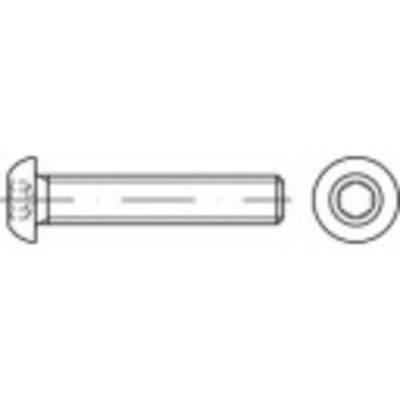 TOOLCRAFT 148079 Lenskopschroeven M4 20 mm Binnenzeskant (inbus) Staal 500 stuk(s)