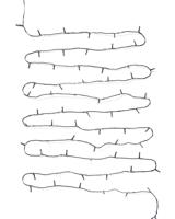 HEMA Lichtsnoer 27.9m met 200 lampjes voor binnen en buiten (wit)