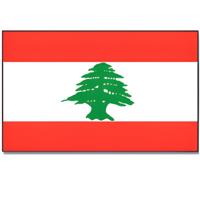 Vlag Libanon van 90 x 150 cm - feestartikelen - Landen thema supporters