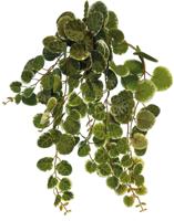 Plant hanging round leaves 46 cm Repto - Repto Plant hanging round leaves 46 cm Repto - Repto