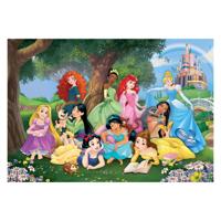 Clementoni legpuzzel - disney prinses, 104st.