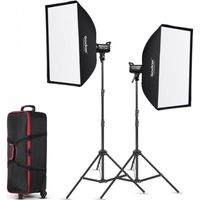 Godox SL100D Kit - LED light kit daylight (2xSL100D & accessories)