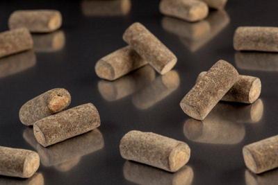 Meenk Zoethout drop gevuld