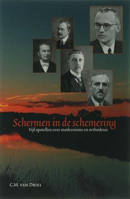 Schermen in de schemering (Paperback)