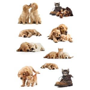 Stickers honden en katten - 27x - puppy en poezen - dieren stickers