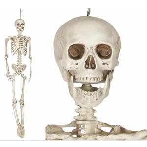 Decoratie skelet pop realistisch - Halloween/horror versiering - hangend - 160 cm