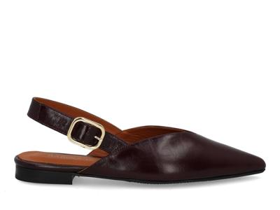 Babouche Sheri-105 bordo bordo maat 41