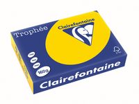 Clairefontaine Trophée Pastel, gekleurd papier, A4, 160 g, 250 vel, goudgeel - thumbnail