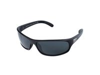 Zonnebrillen Bollé Anaconda 10339