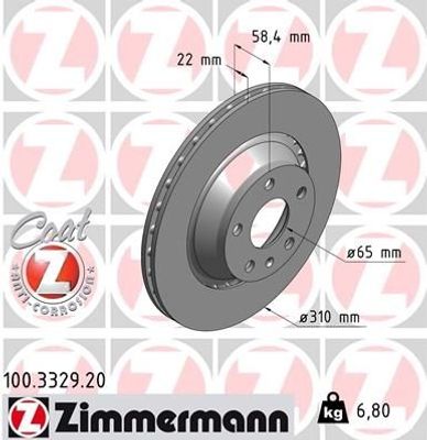 Remschijf Coat Z 100332920