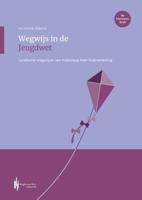 Wegwijs in de Jeugdwet (Paperback)