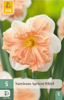 Narcis apricot whirl 5 bollen