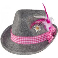 2x stuks grijze Oktoberfest tiroler dameshoed met roze band