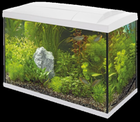 Superfish Start 70 tropical aquarium wit