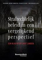 Strafrechtelijk beleid in een vergelijkend perspectief (Paperback)