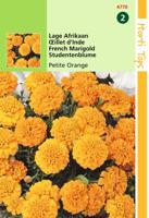 Zaden Tagetes lage Afrikaan Petite Orange Hortitops - Hortitops