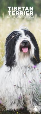 Tibetaanse Terrier Slimline Kalender 2026