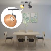 VidaXL Plafondlamp voor 2 peertjes e27 zwart en goudkleurig