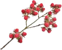 Silk-ka kunsttak braam 78cm rood
